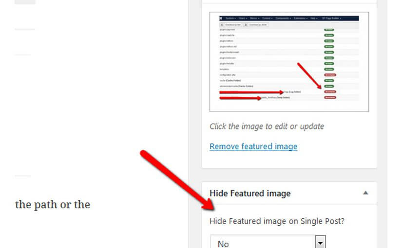 How to hide the Featured image on single view of posts!