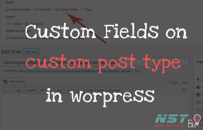How to add custom fields option to custom post type wordpress ?
