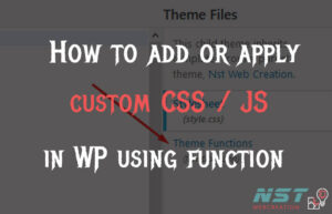add js and css to wp website
