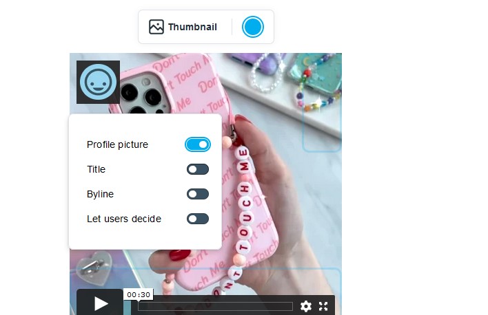 remove vimeo logo from embedded video