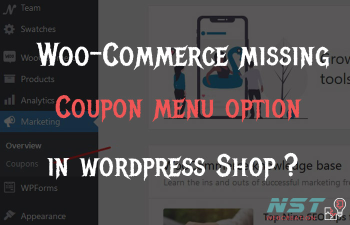 Woo-Commerce Missing Coupon menu (even after “enable use of coupon code”) in wordpress